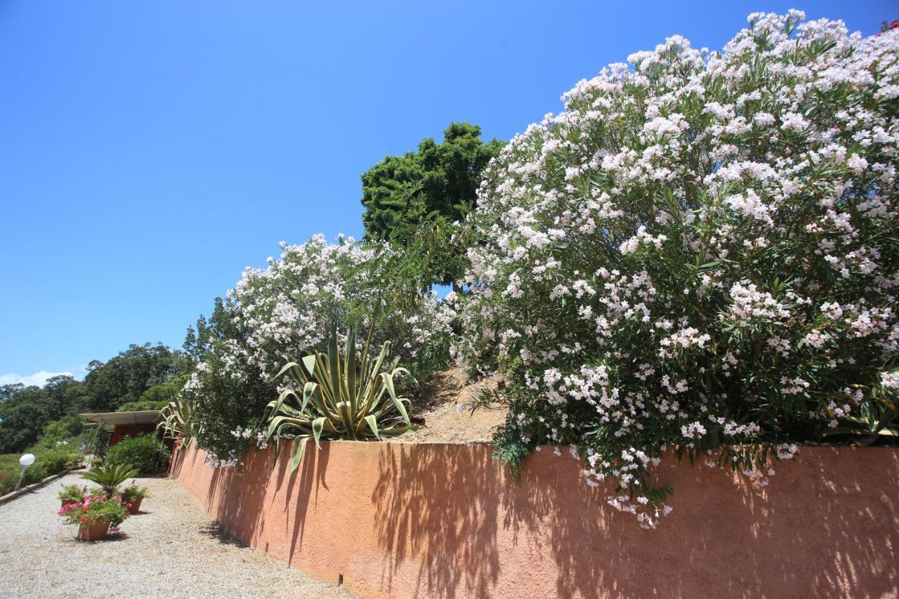 Ca' La Stella Sea-View Apartments Porto Azzurro Exterior photo